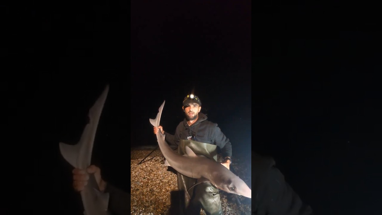 Third tope of the year for me last night tight 🎣 #fishing #fish #fishingtips #fyp #angler