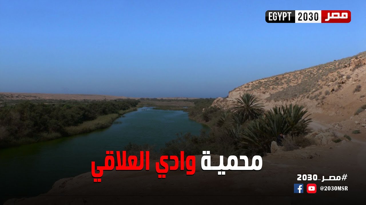 محمية وادي العلاقي بأسوان