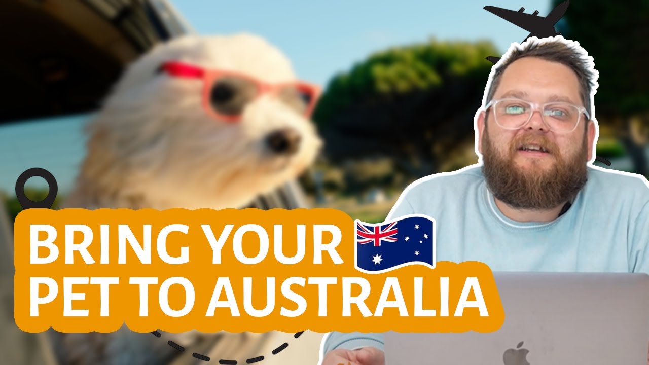 How to Bring your Dog or Cat to Australia - Process, Costs and Timeline