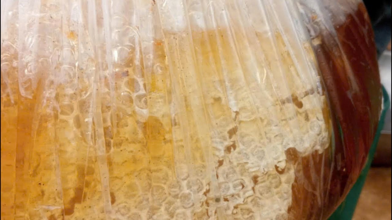 MẬT RỪNG THÁNG 11/  0394313273