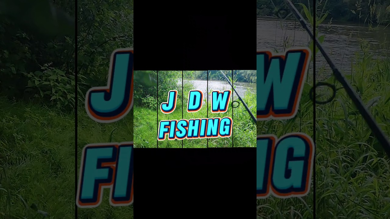 Train Bridge Fishing
