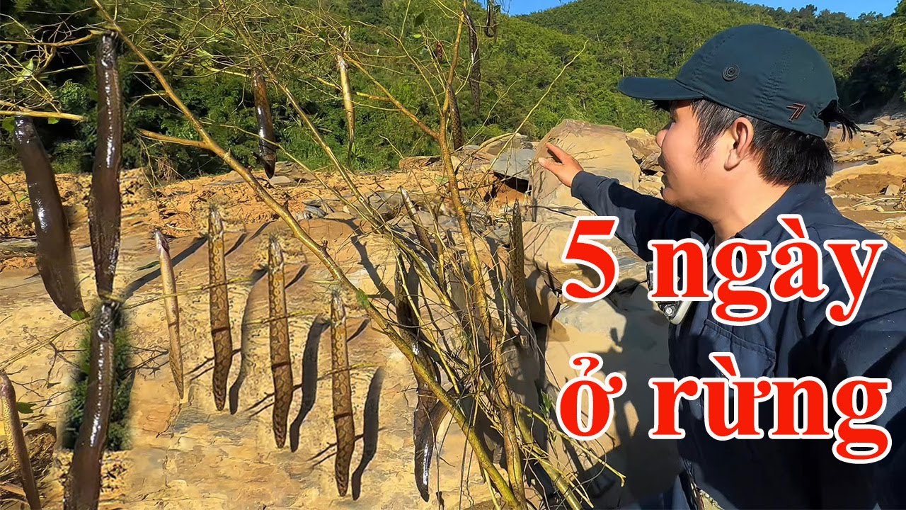 Đây là cách tôi câu một lần cả bầy cá