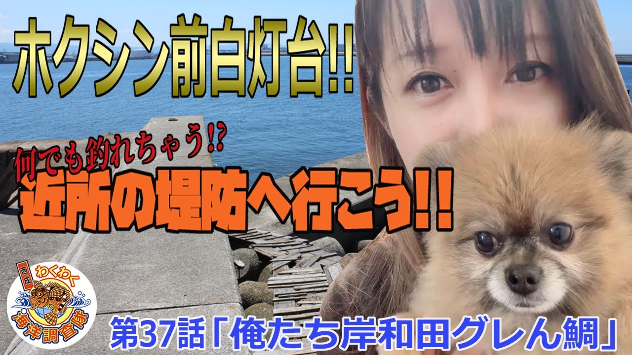 【ホクシン前白灯台】青物も回遊する魚種豊富な堤防で釣る!!第37話「俺たち岸和田グレん鯛」