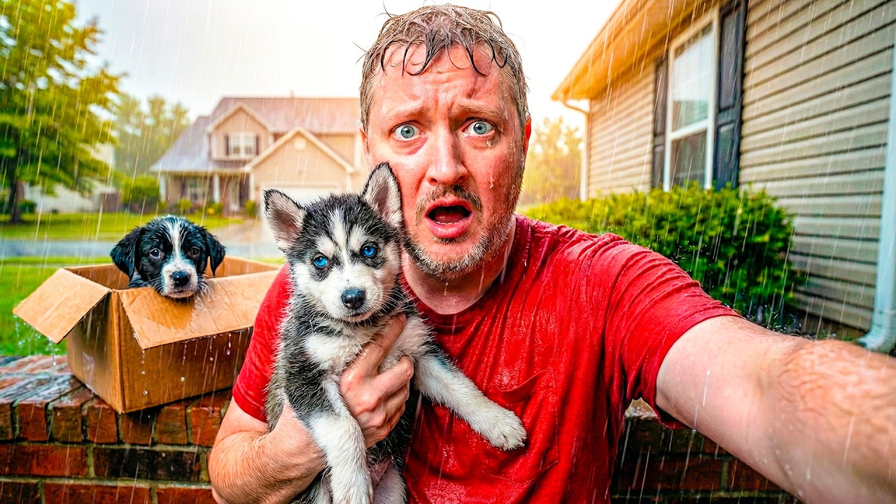 Kan Vi REDDE DYRENE i Animal Shelter 2?