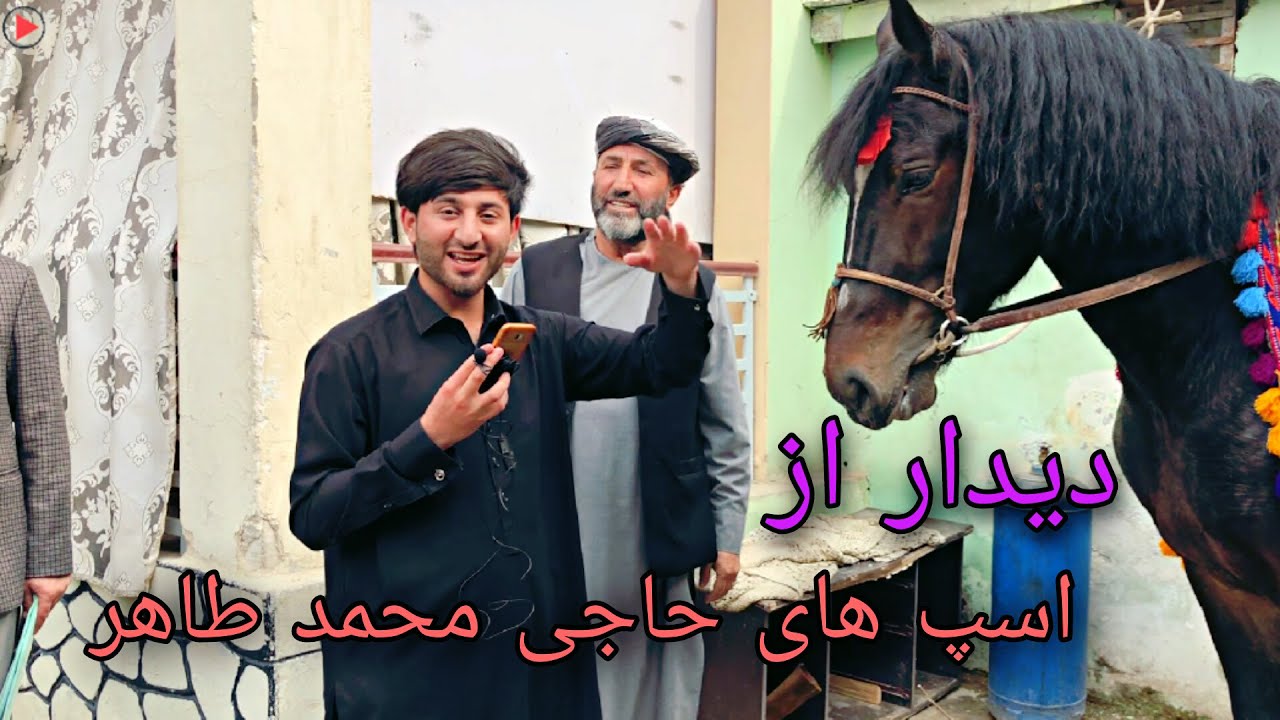 دیدن از اسپ های بزی حاجی محمد طاهر/Head of the Buzkashi Federation