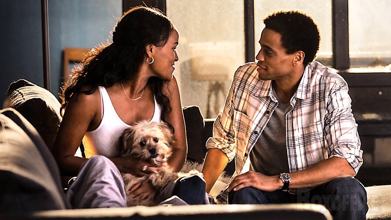Il adopte un chien pour sauver son couple | About Last Night | Extrait VF