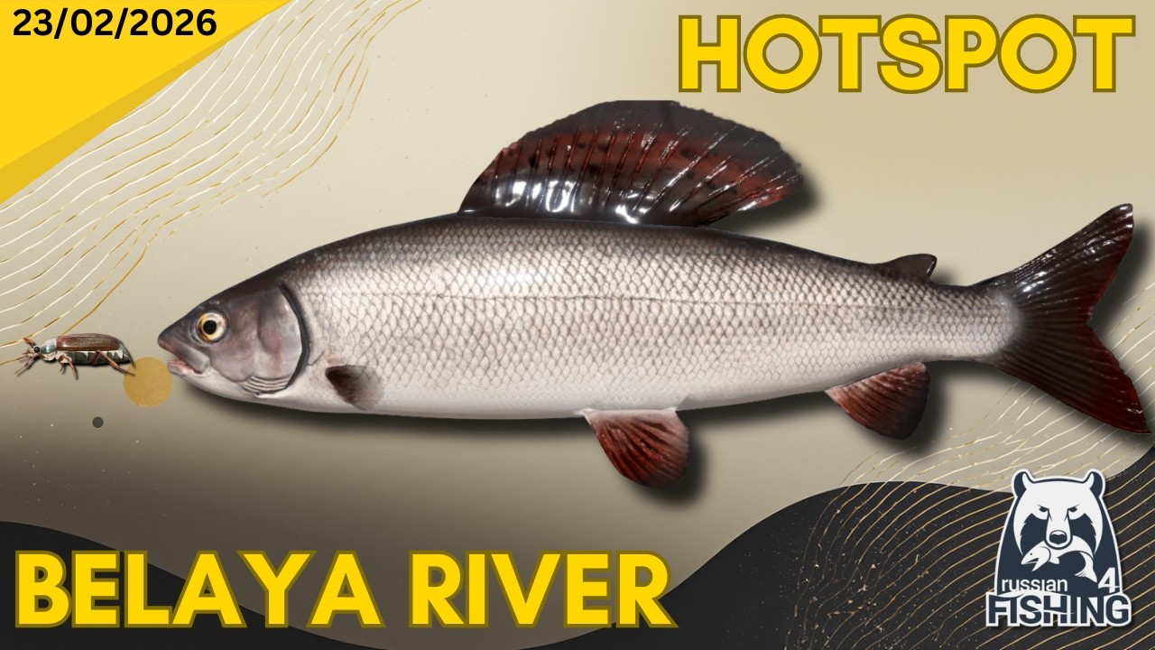 Belaya River Grayling & Trout Hotspot - Russian Fishing 4