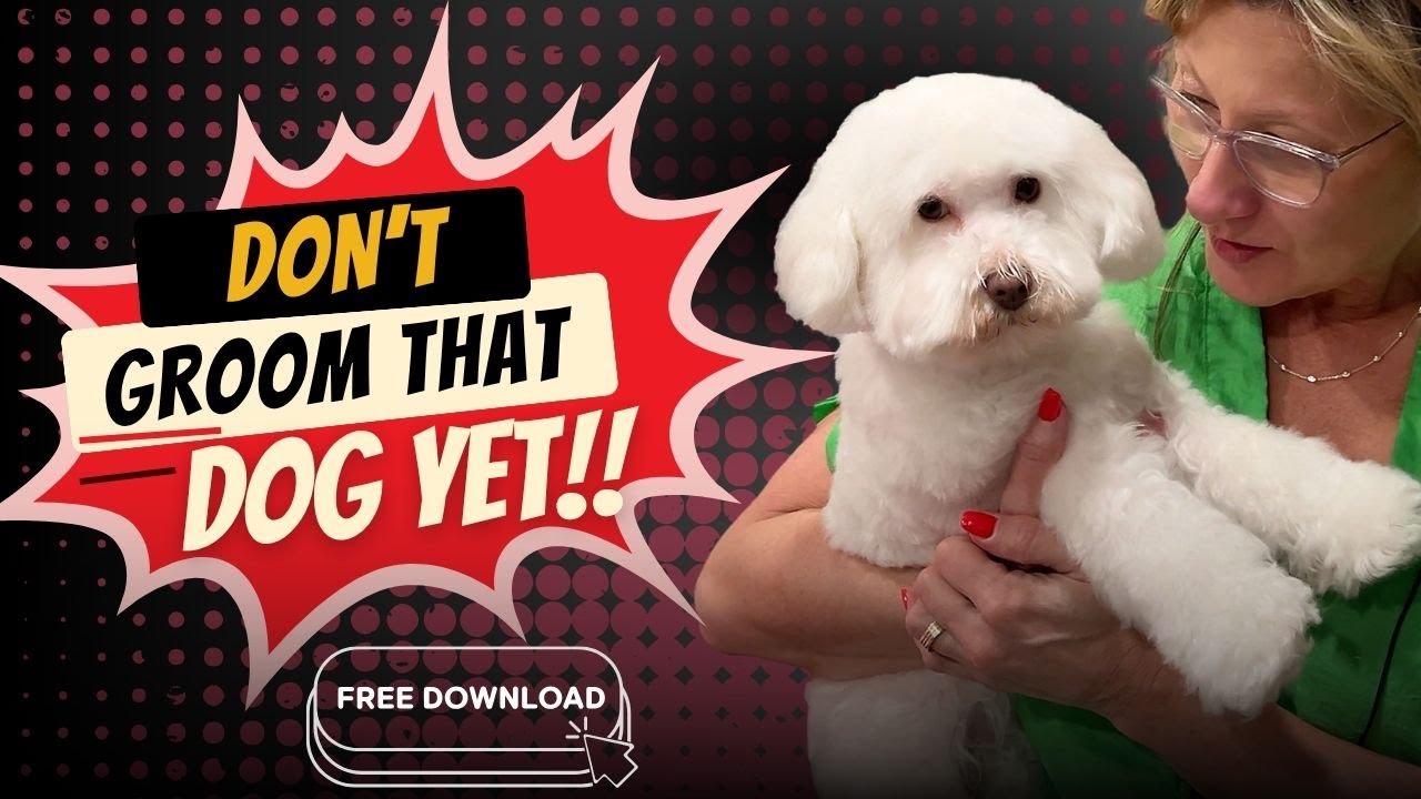 Rejecting dogs-it’s about protecting them