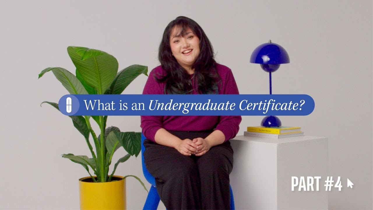 Alternate pathways into uni: Undergraduate Certificate