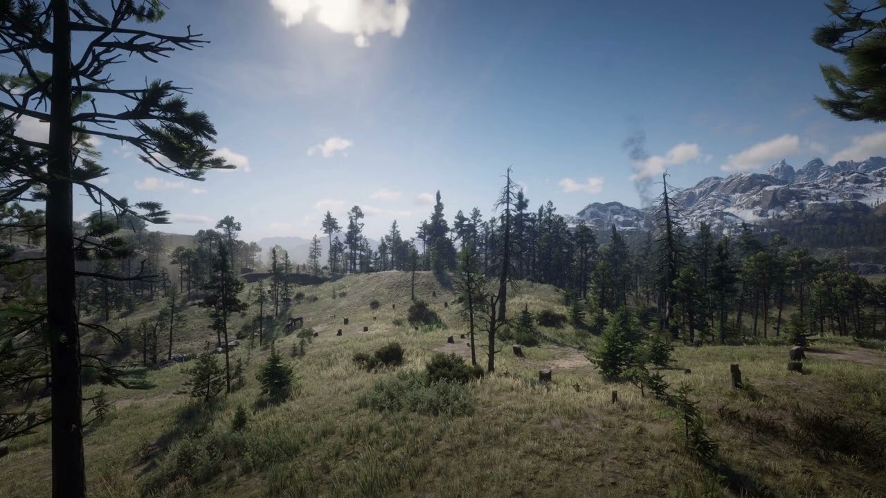 Rdr2 ambient music 10 Cumberland forest