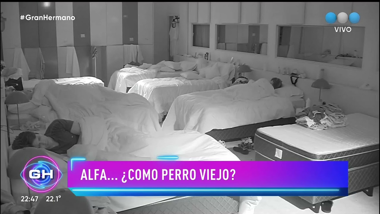 Gran Hermano 2022: El Conejo y Coti con la casa en contra