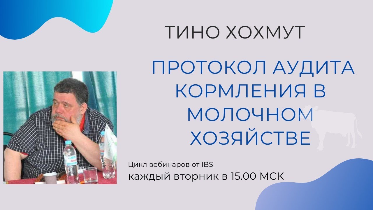 Тино Хохмут 