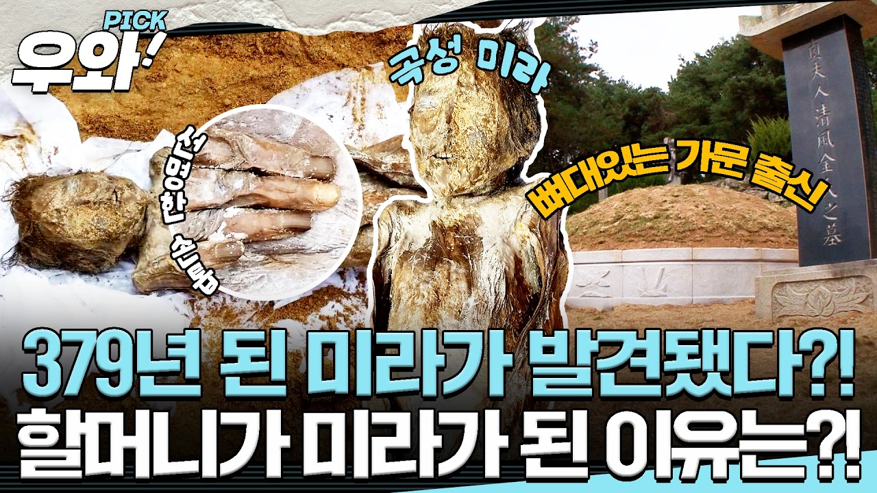 [⭐‍️#우와픽] 시아버지는 영의정, 남편은 도승지, 친정조부는 병조판서!📜 뼈대있는 가문 출신 여인이 미라가 된 이유는?!👵 #순간포착세상에이런일이 #우와한비디오 #우와픽