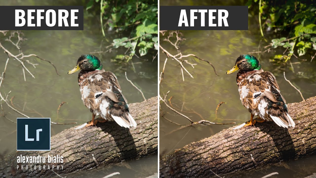 Editare &icirc;n Lightroom Clasic CC | Before & After