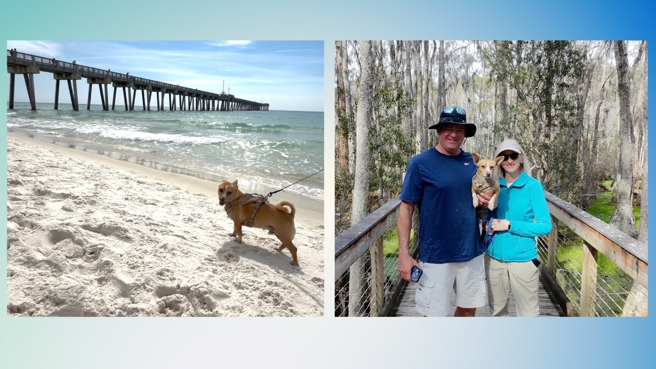 PANAMA CITY BEACH: DOG BEACH AND CONSERVATION PARK-FEB 2025