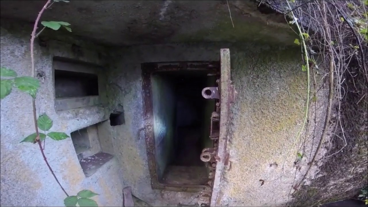Casemate CLARE-C20 forêt de Mormal Renard Blade 27102019