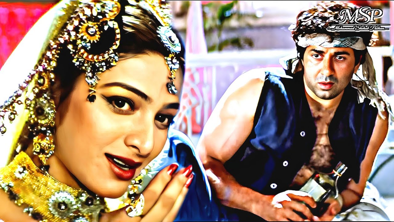 Dil Ka Kya Kare Saheb | Jeet | Sunny Deol, Tabu | Kavita Krishnamurthy | 90's Hits