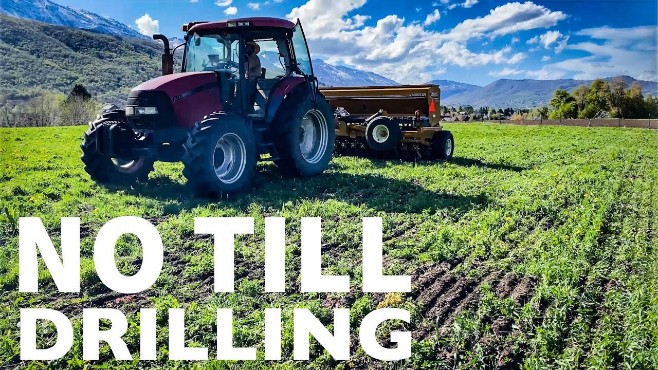 NO TILL DRILLING | Planting Our First Seeds | Esch 5612 Drill