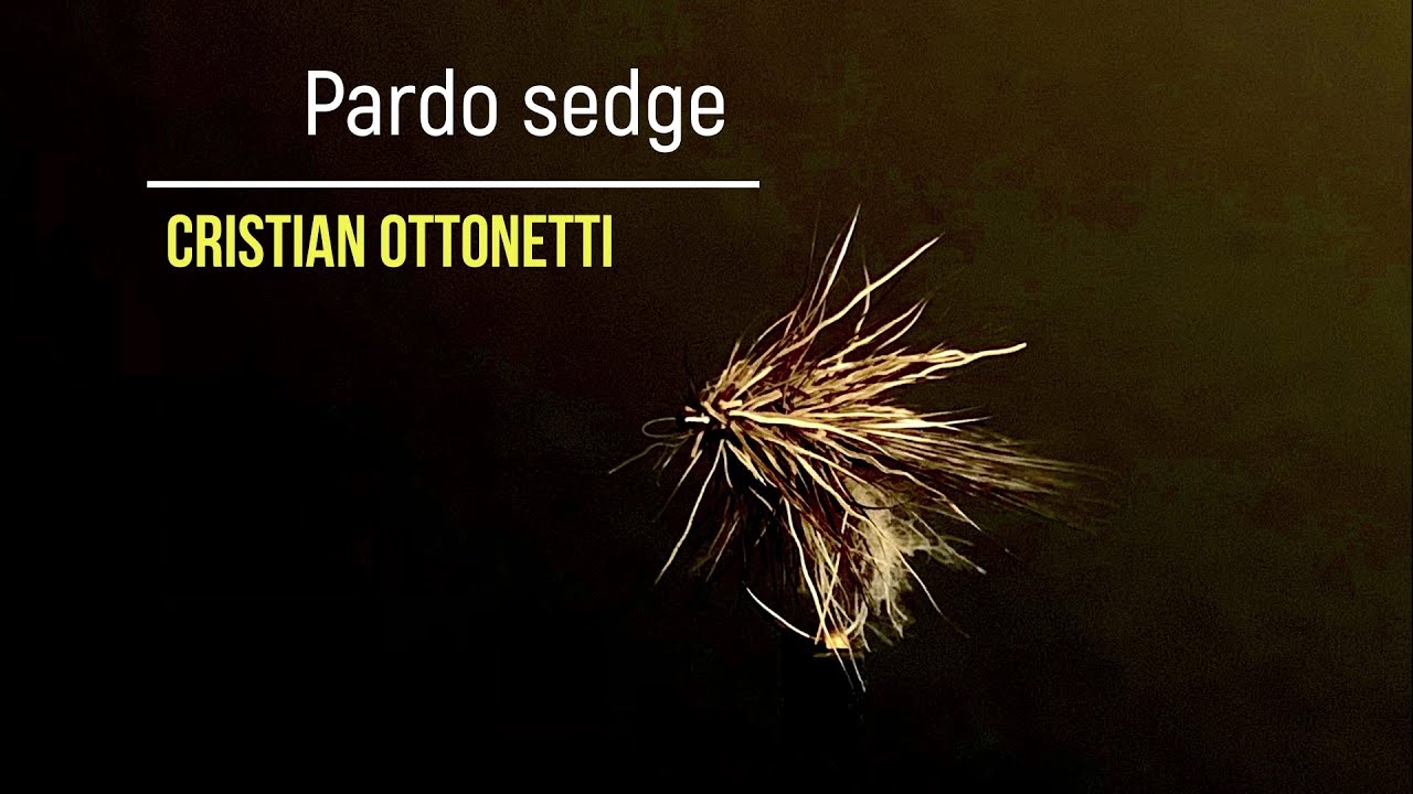 Pardo sedge - Fly tying con Cristian Ottonetti