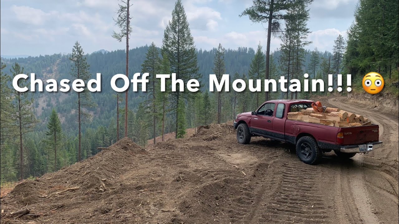 Cutting Firewood & Got Chased Off The Mountain!!! 🤬