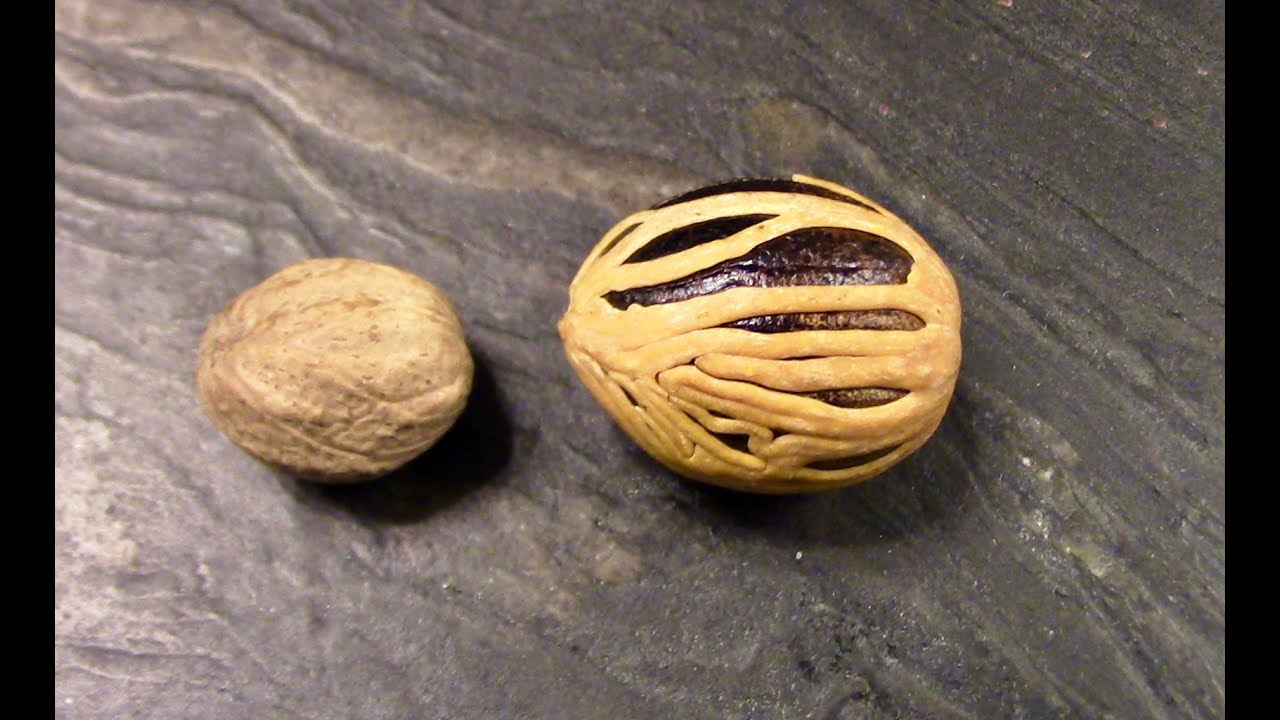 Nutmeg and Mace, Tips