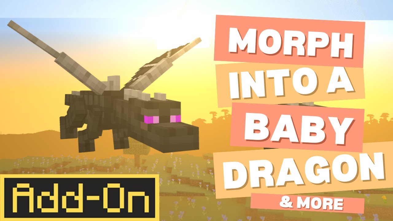 Morph Into A BABY DRAGON - Morph Add-on | Minecraft Marketplace In-Depth Look