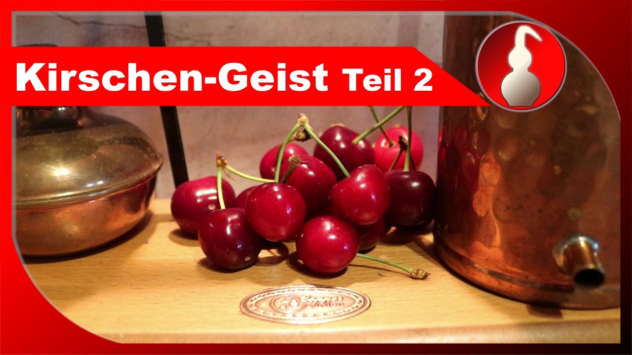 Kirschwasser selber machen - Versuch mit Mazeration - Schnapsbrennen als Hobby - diSTILLed