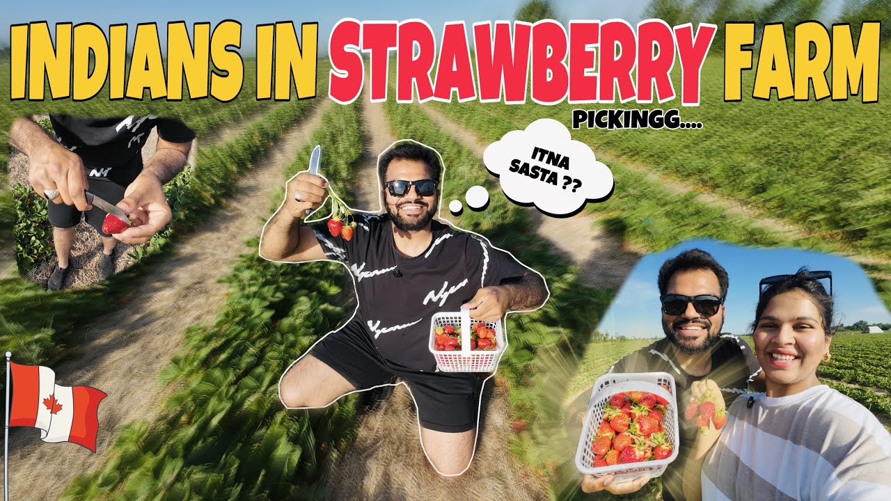 Canada’s 100 Acre farm #vlog 06