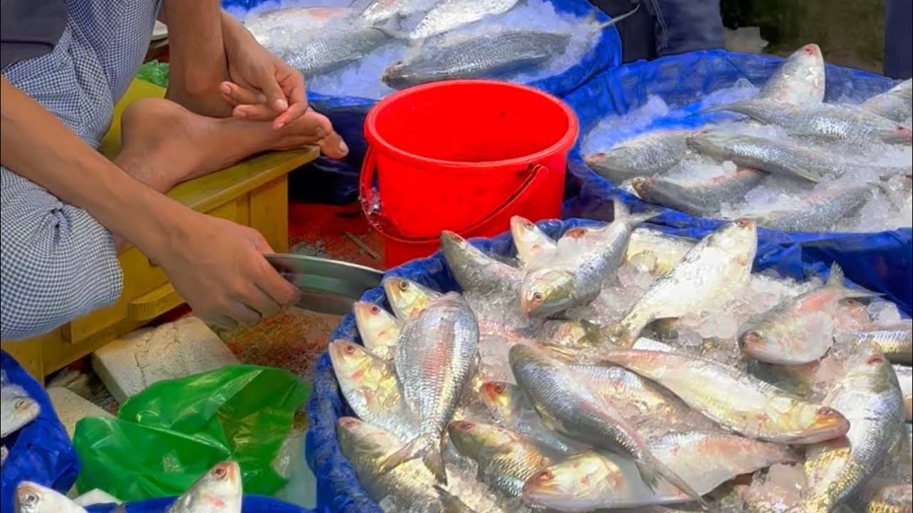 বাজারে সবকিছুর দাম ডবল মানুষ খাবে কি