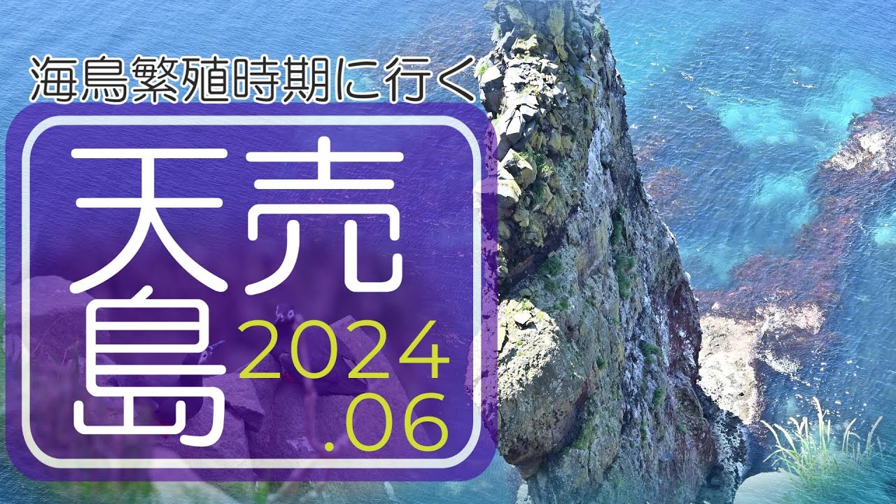 天売島への船旅（前半）