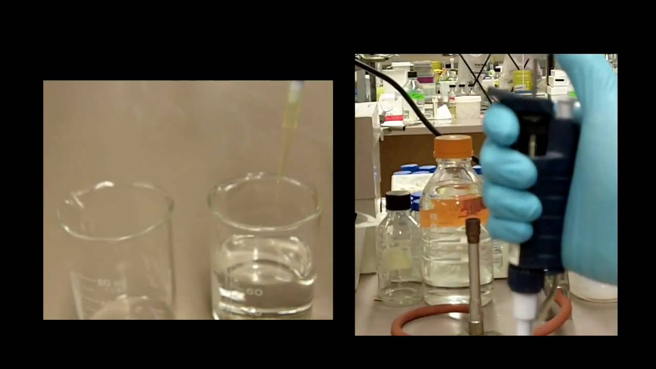 How to Use a Pipette