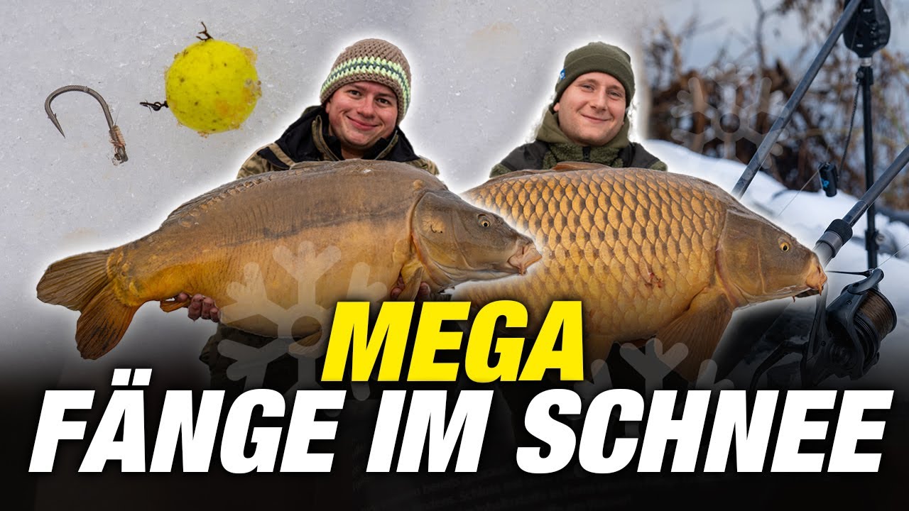 Mega Fänge im SCHNEE ☃️ Warum unsere Winter-Methode ALLES verändert! 🎣❄ | Boilie | P.R. Baits