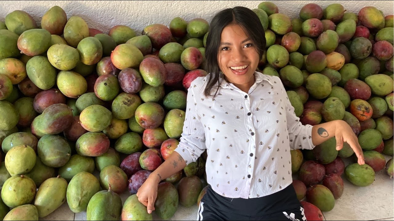 Tipos de Mango en Chiapas 🇲🇽🥭