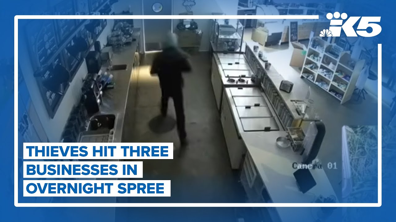 3 Alki businesses hit in overnight crime spree