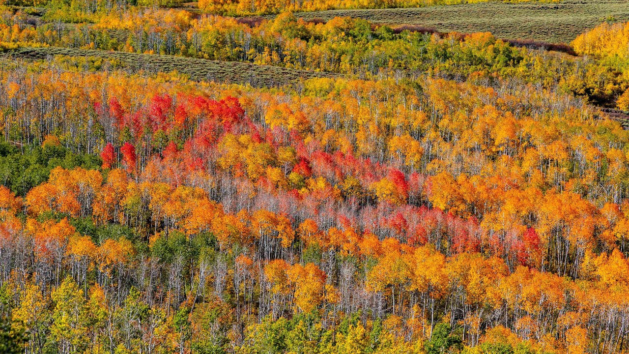 Fall 2025 Scenic Road Trip - Eastern Oregon