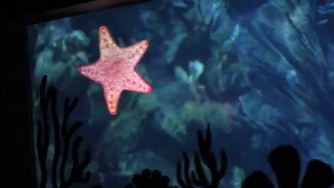 The Seas with Nemo & Friends - Ride POV  - EPCOT -Walt Disney World, Florida