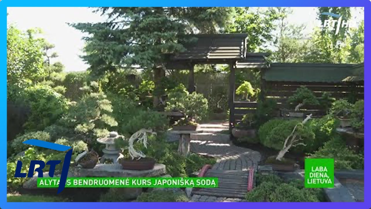 Alytuje kuriamas japoniškas sodas: lankytojus džiugins ir arbatų ceremonijos