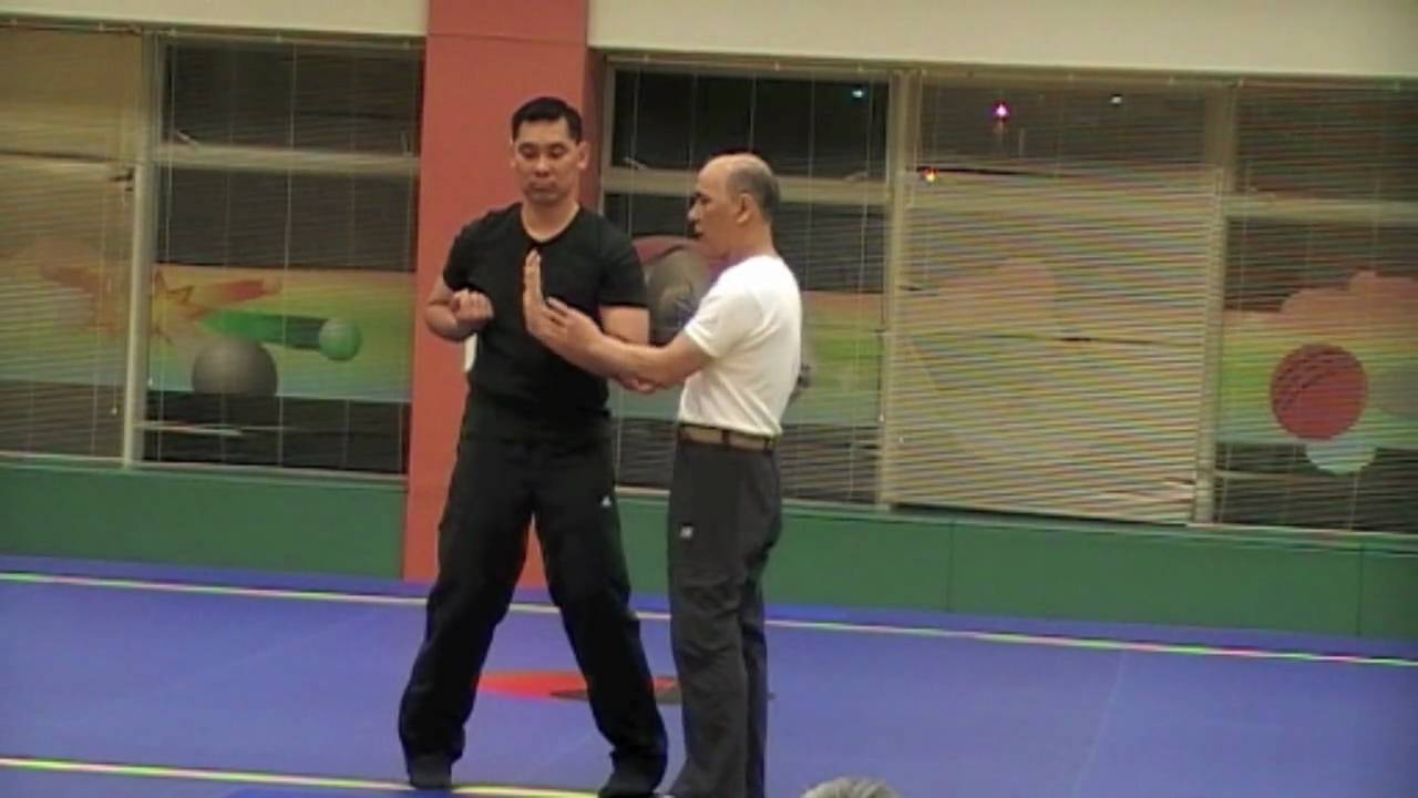 香港武術聯會 - 2010年5月份武術賢聚會 - 詠春