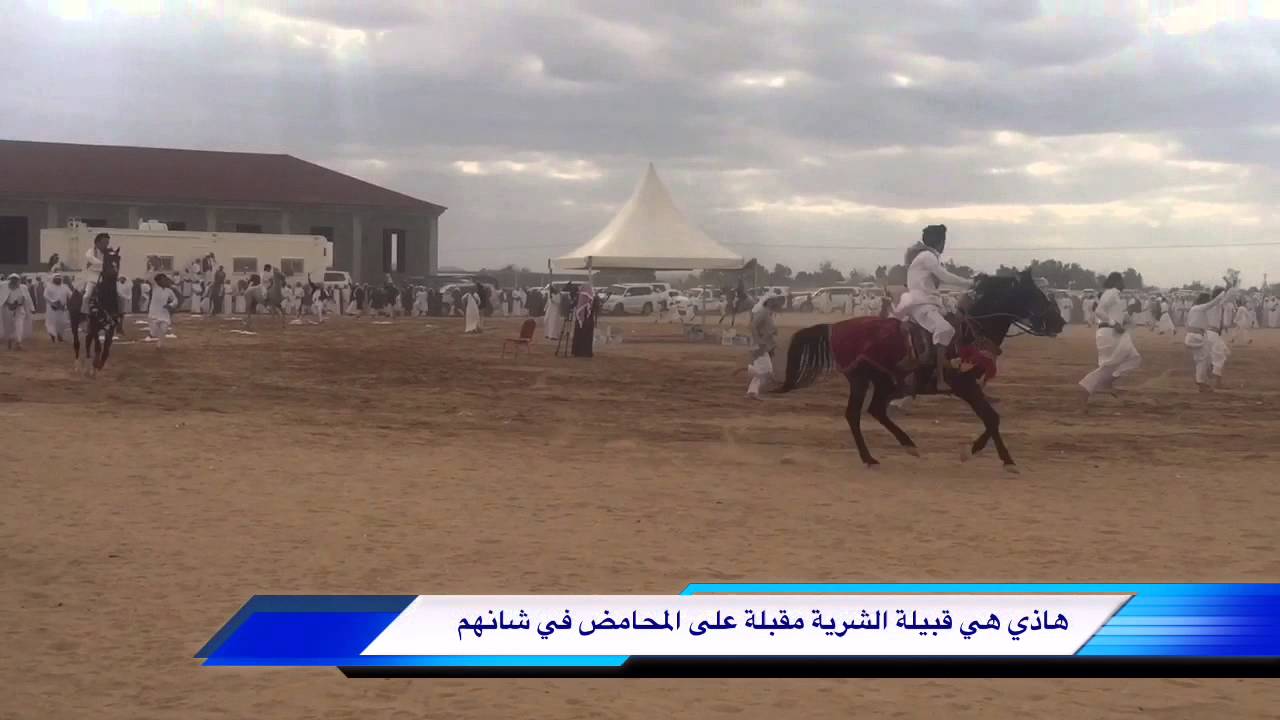 اقبال الشرية على المحامض يوم الاثنين موافق /1437/3/3 هجري