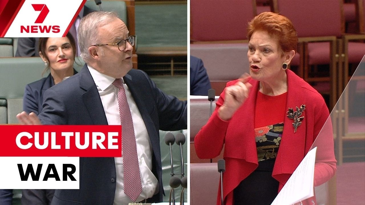 One Nation's 'monoculture' vision slammed by Albanese Government | 7NEWS