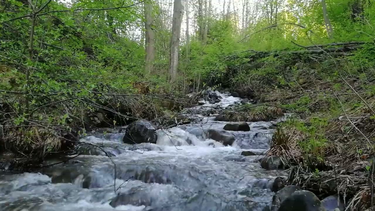 Bäck  Rinnande Vatten - 30 min Avslappnande Naturljud