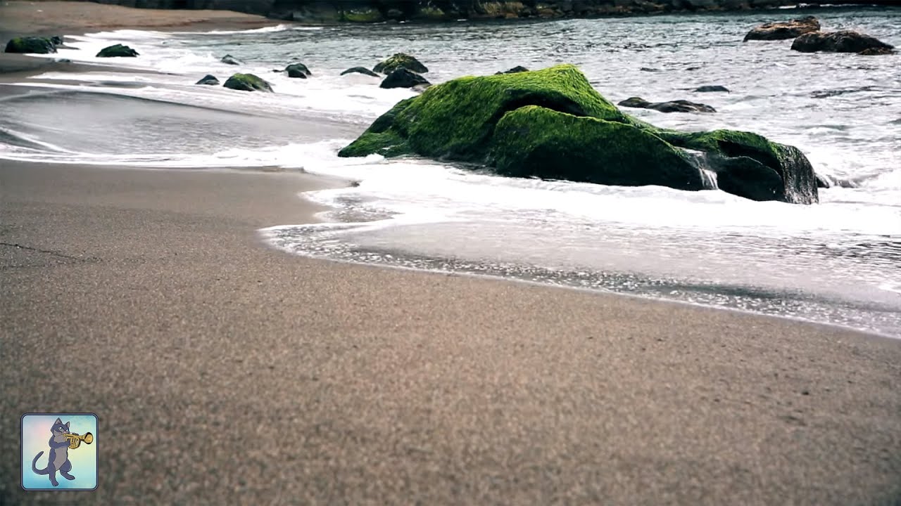 2 HOURS of Relaxing Ocean Waves &bull; Beautiful Sea Sounds &bull; Gentle Soothing Sound of Ocean (No Music)