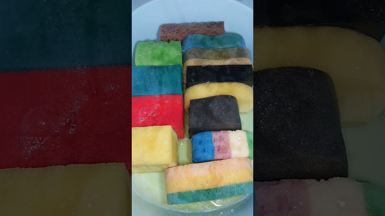 #ASMR Sponge Overload 🫧