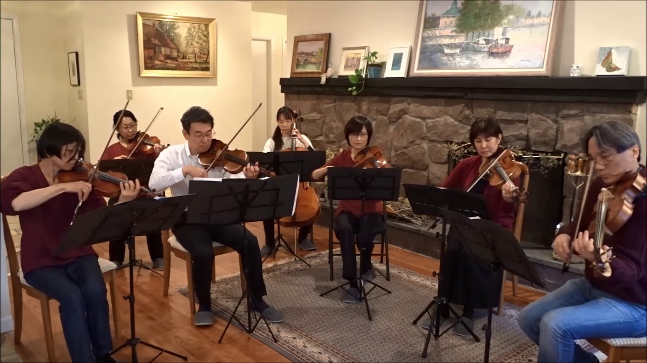 バイオリン協奏曲3-6イ短調第1楽章、ヴィヴァルディ作曲　A. Vivaldi - Concerto No. 6 in A minor, Mov. 1