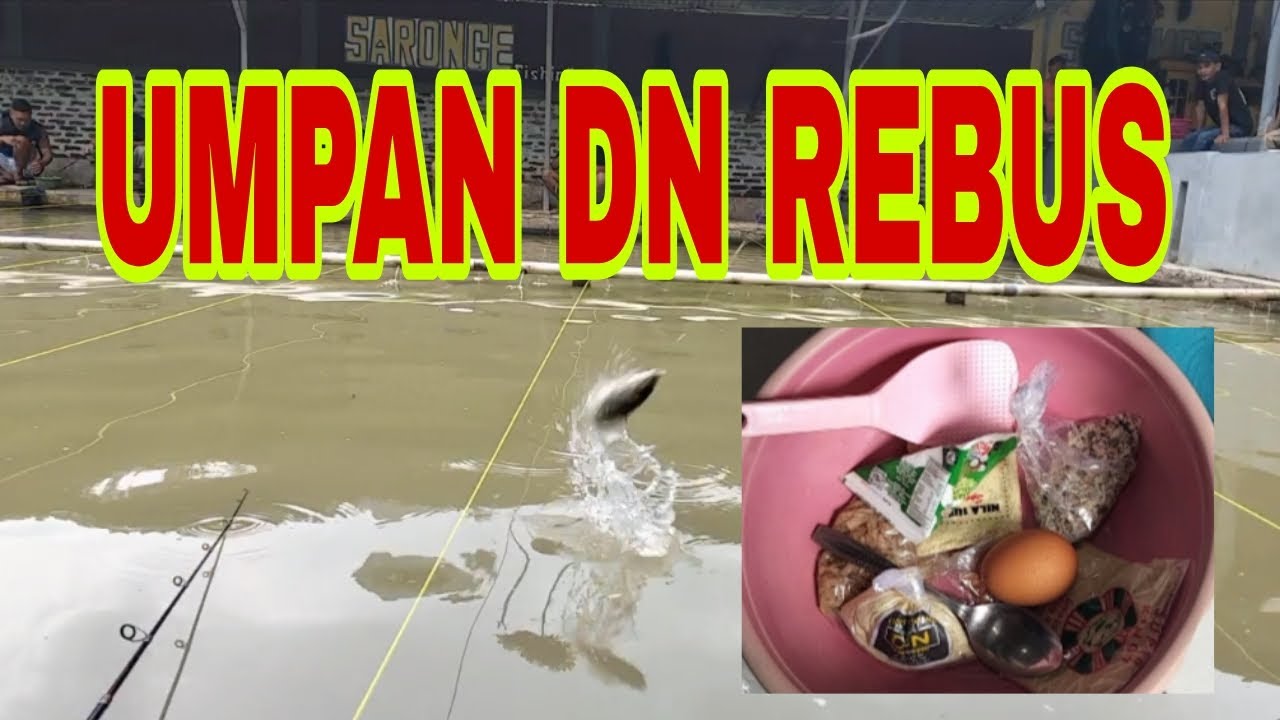 Umpan DN rebus