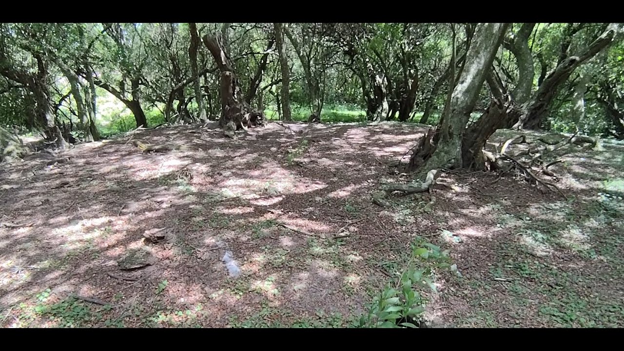 Uruguay Milenario | Histórico: identificaron en Tacuarembó la construcción humana más antigua