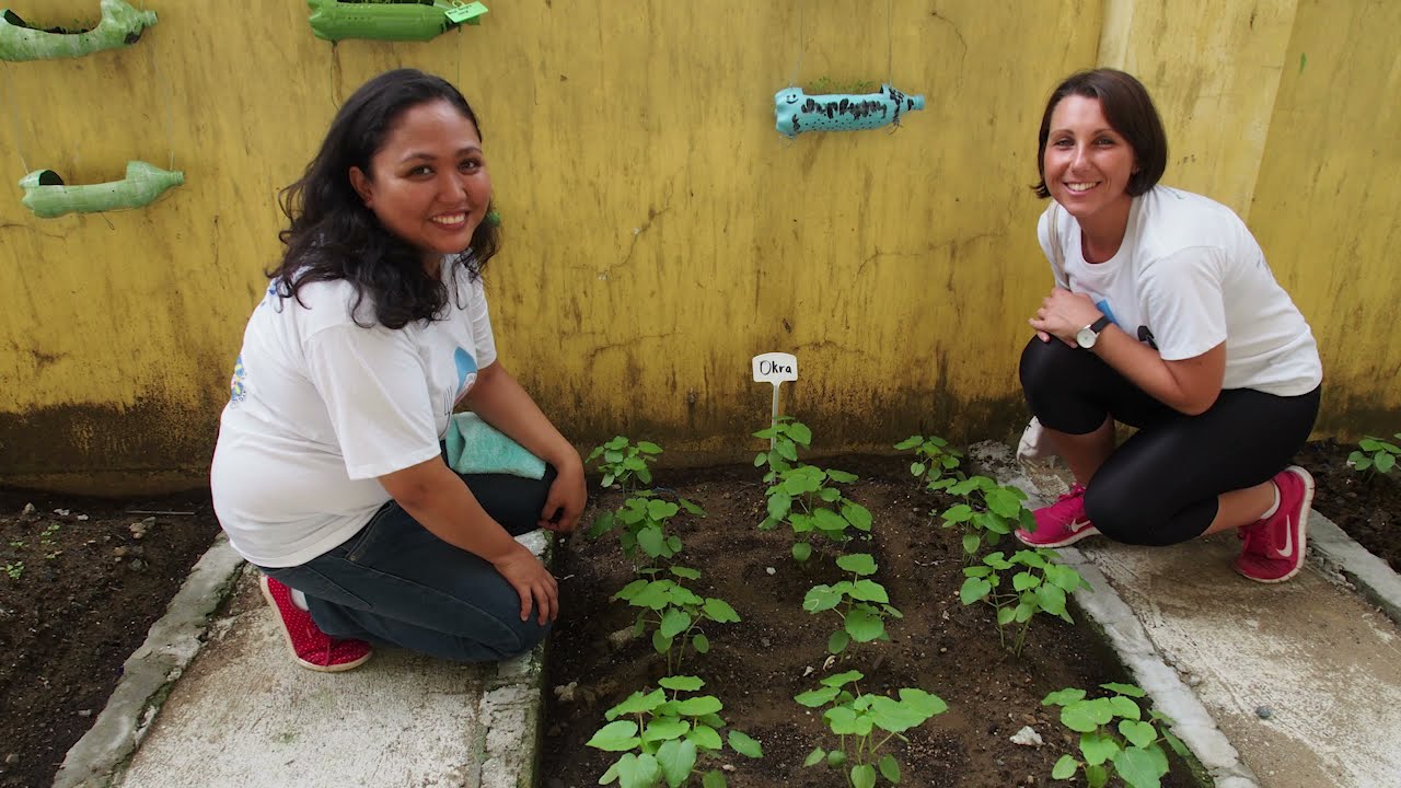 Part 1: Career Pathways into International Agriculture for Development