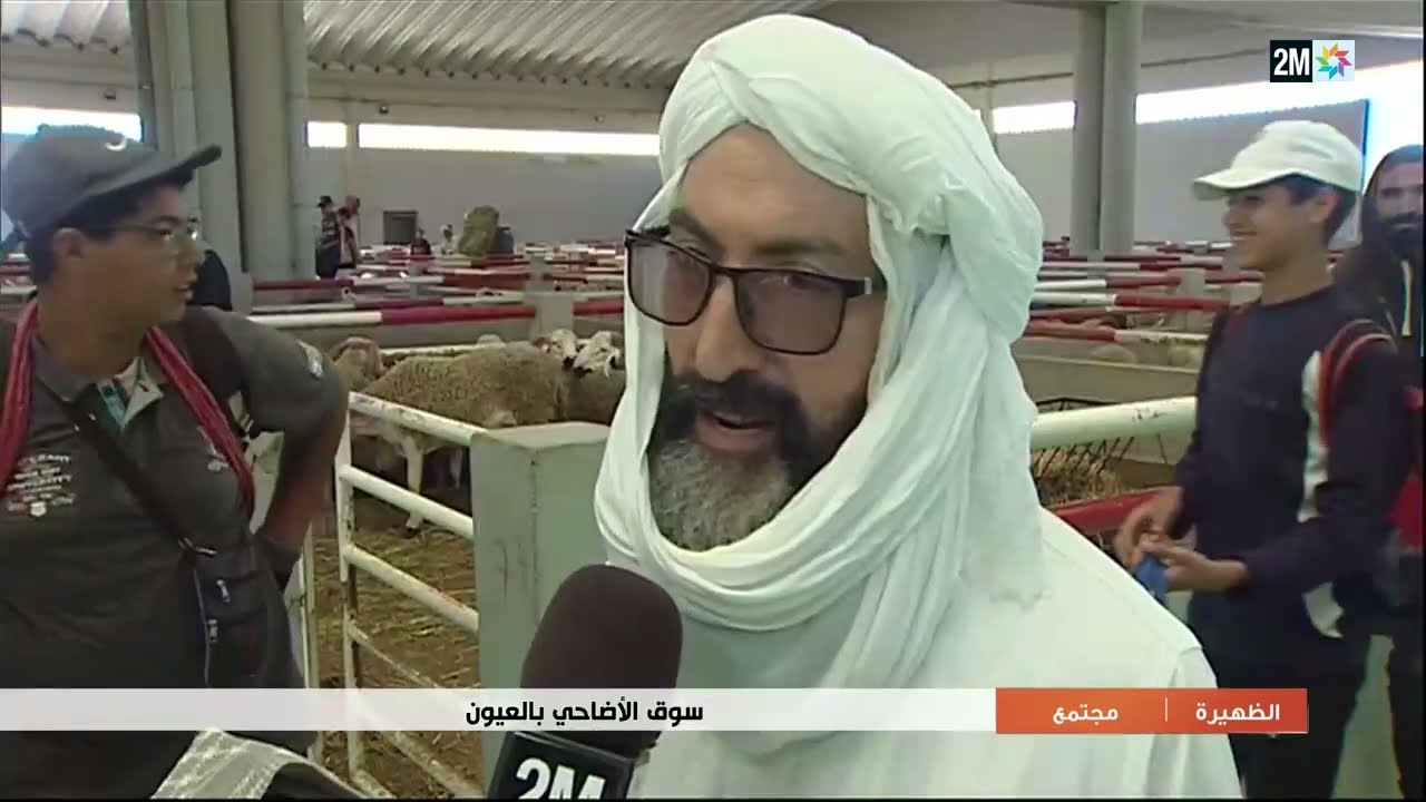 سوق الأضاحي بالعيون