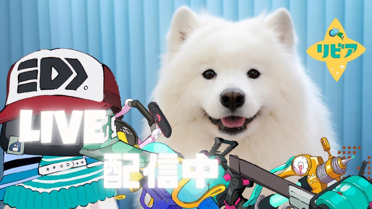 エリア杯優勝するぞ！w/りぶてん、がらんどう、さむらいかさと【スプラトゥーン３】