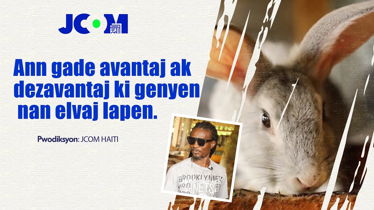 Elvaj Lapen, avantaj ak dezavantaj makònen ak opòtinite 